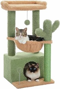PAWZ Road キャットタワー ミニ 猫タワー サボテン 小型 低め 据え置き 人気 コンパクト 省スペース 麻紐爪とぎ ハンモック おしゃれ イ
