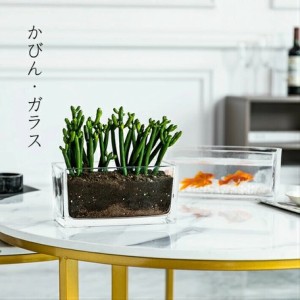 金魚鉢 おしゃれの通販 Au Pay マーケット 金魚鉢 おしゃれの通販 Au Pay マーケット