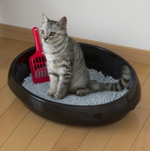 アイリスオーヤマ ペット用品・ペットフード トイレ ネコのトイレ / 生活雑貨 犬猫用品 トレー・トイレ