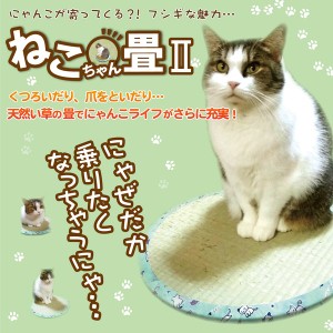 巷で話題のねこホイホイ い草 ネコ 猫用 クッション マット「ねこちゃん畳2」 直径約47×H1.2cm / 生活雑貨 ペット用品 犬猫用品 ベッド
