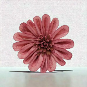 アイティス カラー ソラフラワーヘッド GERBERA PINK / 家具・インテリア インテリアグリーン プリザーブドフラワー・ドライフラワー フ