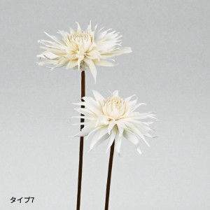 ソラフラワー ステム DAHLIA A ナチュラルタイプ / 家具・インテリア インテリアグリーン プリザーブドフラワー・ドライフラワー フラワ