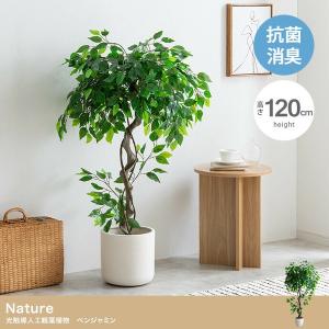 光触媒 人工観葉植物 ウォールグリーン フェイクグリーン 胡蝶蘭