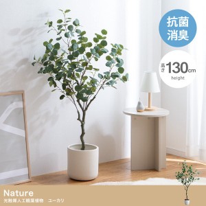  高さ130cm Nature 光触媒人工観葉植物 ユーカリ / 家具・インテリア インテリアグリーン フェイクグリーン･フェイクフラワー