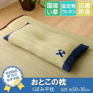 枕 まくら い草枕 消臭 ピロー 国産 『おとこの枕 くぼみ平枕』 / 家具・インテリア 寝具