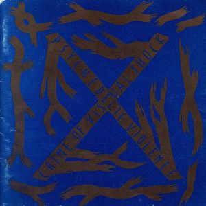 【中古】 ＢＬＵＥ　ＢＬＯＯＤ／Ｘ　ＪＡＰＡＮ