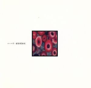 【中古】 色恋品定め／Ｌｉｔａ