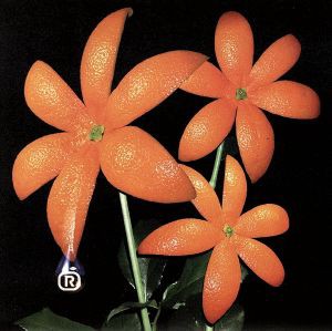 【中古】 花／ＯＲＡＮＧＥ　ＲＡＮＧＥ