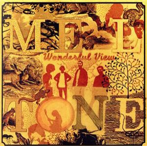 【中古】 Ｗｏｎｄｅｒｆｕｌ　Ｖｉｅｗ／ＭＥＬＴＯＮＥ