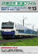 【中古】 ＪＲ東日本　鉄道ファイルＶｏｌ．１３／（鉄道）