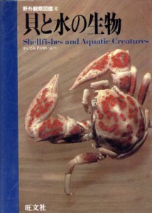 【中古】 貝と水の生物 野外観察図鑑６／旺文社【編】