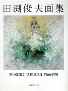 【中古】 田渕俊夫画集　１９６６‐１９９１ 求龍堂グラフィックス／田渕俊夫【著】