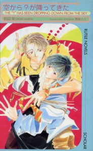 【中古】 空から？が降ってきた ルチルノベルズ／前田栄(著者)