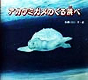 【中古】 アカウミガメのくる浜べ いのちのゆりかごシリーズ／佐藤ヒロシ(著者)