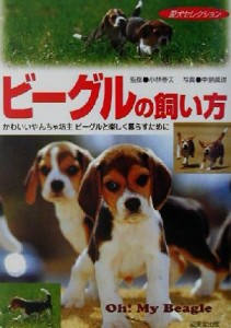 【中古】 ビーグルの飼い方 かわいいやんちゃ坊主ビーグルと楽しく暮らすために 愛犬セレクション／小林春夫,中島真理