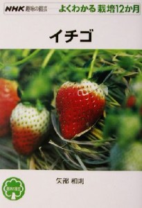 【中古】 趣味の園芸　イチゴ よくわかる栽培１２か月 ＮＨＫ趣味の園芸／矢部和則(著者)