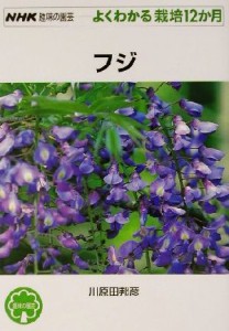 【中古】 趣味の園芸　フジ よくわかる栽培１２か月 ＮＨＫ趣味の園芸／川原田邦彦(著者)