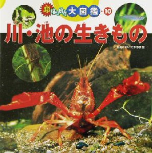 【中古】 超はっけん大図鑑(１０) 川・池の生きもの／さいたま水族館