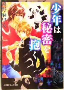 【中古】 少年は秘密を抱く パレット文庫／岡野麻里安(著者)