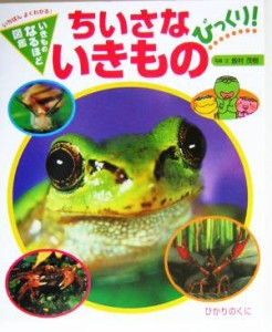 【中古】 ちいさないきものびっくり いきものなるほど図鑑／飯村茂樹