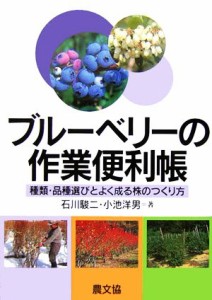 【中古】 ブルーベリーの作業便利帳 種類・品種選びとよく成る株のつくり方／石川駿二(著者),小池洋男(著者)