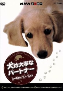 【中古】 ＮＨＫ趣味悠々　犬は大事なパートナー　上手な飼い方、しつけ方／（趣味／教養）