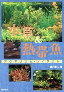 【中古】 水草＆熱帯魚 アクアリウム・レイアウト／富沢直人(著者)