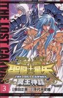 【中古】 聖闘士星矢　ＴＨＥ　ＬＯＳＴ　ＣＡＮＶＡＳ　冥王神話(３) チャンピオンＣ／手代木史織(著者),車田正美