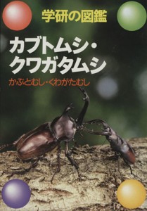 【中古】 カブトムシ・クワガタムシ 学研の図鑑 学研の図鑑／生き物・昆虫・魚