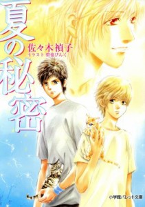 【中古】 夏の秘密 パレット文庫／佐々木禎子(著者),碧也ぴんく(著者)