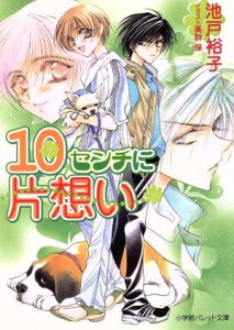 【中古】 １０センチに片想い パレット文庫／池戸裕子(著者),高群保(著者)