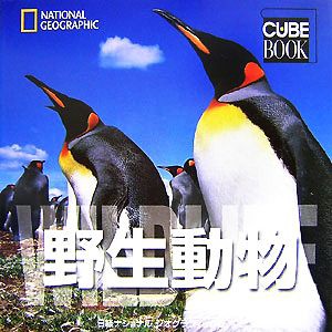 【中古】 ナショナルジオグラフィック　野生動物 ナショナルジオグラフィックＣＵＢＥ　ＢＯＯＫ