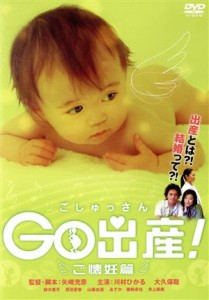 【中古】 Ｇｏ出産！〜ご懐妊篇〜／川村ひかる,大久保聡,矢崎充彦