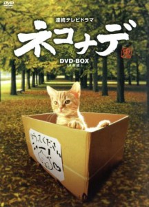 【中古】 ネコナデ　ＤＶＤ−ＢＯＸ／小木茂光,ちすん,清水美那,野中“まさ”雄一（音楽）