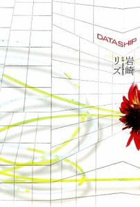 【中古】 ＤＡＴＡＳＨＩＰ／岩崎リズ【著】