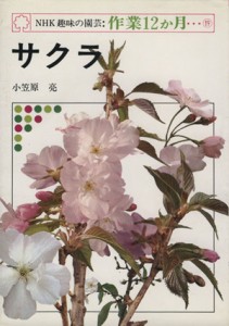 【中古】 趣味の園芸　サクラ ＮＨＫ趣味の園芸　作業１２か月１９／小笠原亮(著者)