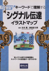 【中古】 シグナル伝達イラストマップ　キーワードで理解する／山本雅(著者),仙波憲太郎(著者)