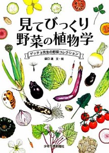 【中古】 見てびっくり野菜の植物学 ゲッチョ先生の野菜コレクション／盛口満【文・絵】