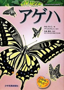 【中古】 いのちのかんさつ(１) アゲハ／中山れいこ【著】，アトリエモレリ【制作】，矢後勝也【監修】