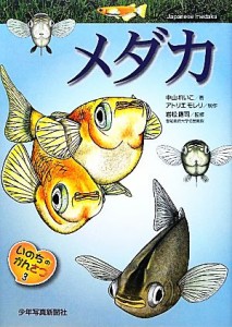 【中古】 いのちのかんさつ(３) メダカ／中山れいこ【著】，アトリエモレリ【制作】，岩松鷹司【監修】