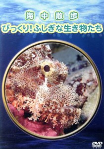 【中古】 海中散歩〜びっくり！ふしぎな生き物たち〜／ドキュメント・バラエティ