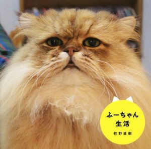 【中古】 写真集　ふーちゃん生活／牧野直樹