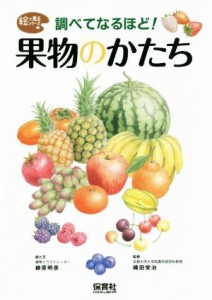 【中古】 調べてなるほど！果物のかたち 絵で見るシリーズ／柳原明彦,縄田栄治