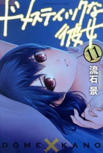 【中古】 ドメスティックな彼女(１１) マガジンＫＣ／流石景(著者)