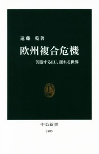 【中古】 欧州複合危機 苦悶するＥＵ、揺れる世界 中公新書２４０５／遠藤乾(著者)