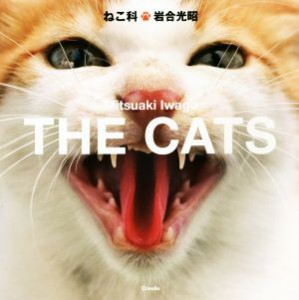 【中古】 写真集　ねこ科 ＴＨＥ　ＣＡＴＳ／岩合光昭(著者)