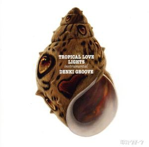 【中古】 ＴＲＯＰＩＣＡＬ　ＬＯＶＥ　ＬＩＧＨＴＳ／電気グルーヴ