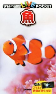 【中古】 魚 学研の図鑑ＬＩＶＥ　ＰＯＣＫＥＴ８／学研