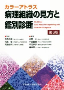 【中古】 カラーアトラス　病理組織の見方と鑑別診断　第６版／赤木忠厚