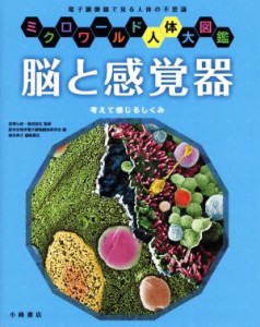 【中古】 脳と感覚器 考えて感じるしくみ ミクロワールド人体大図鑑／医学生物学電子顕微鏡技術学会(編者),根本典子(編者),宮澤七郎,島田